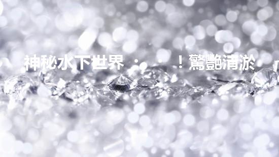 神秘水下世界！驚艷清淤船操作，全程視頻曝光！
